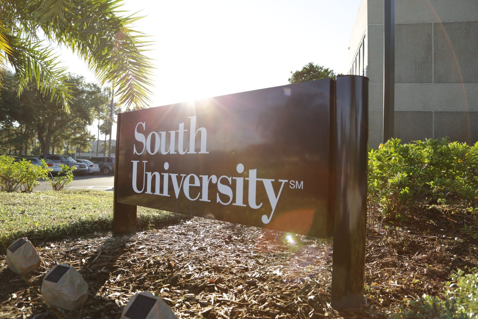 South-University-Tampa-scaled-1.jpg