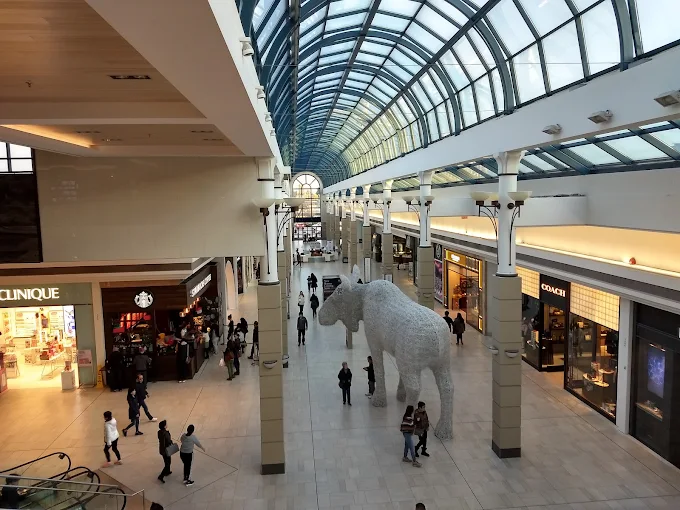 Untitled design (12)