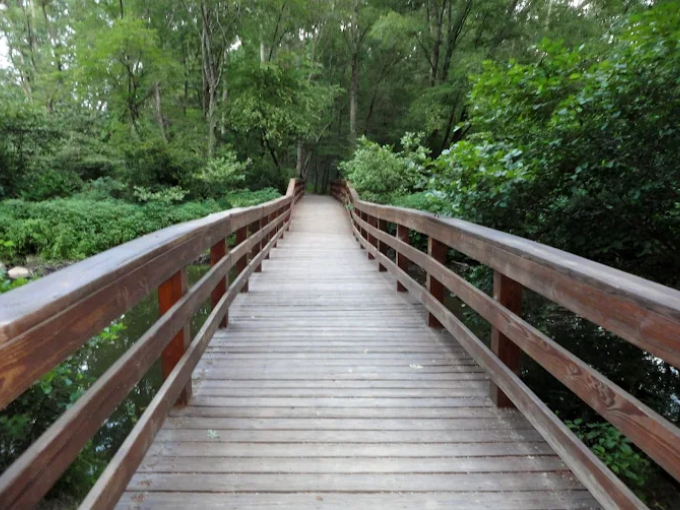 Untitled design (20)