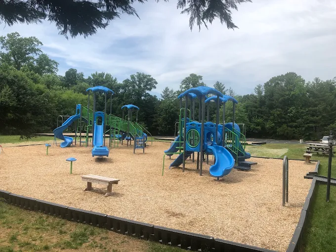 Untitled design (24)