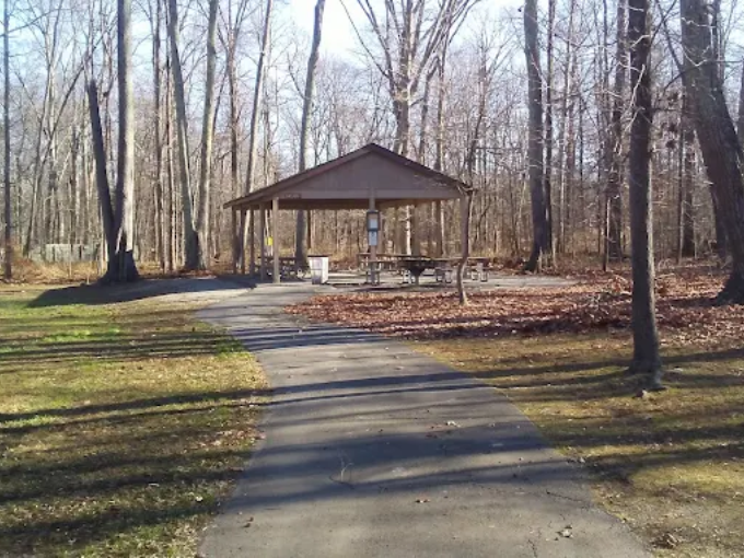 Untitled design (25)